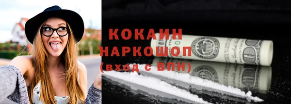 шишки Белоозёрский