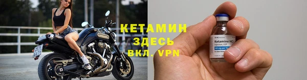 шишки Белоозёрский