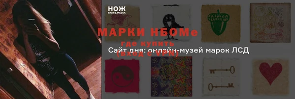 шишки Белоозёрский