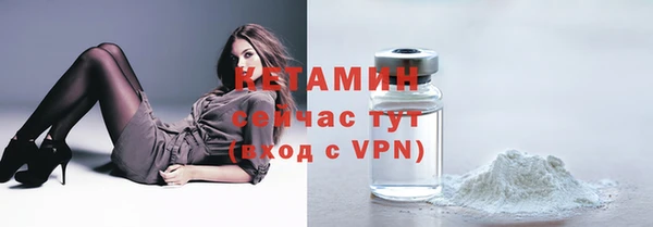 шишки Белоозёрский