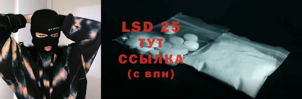 шишки Белоозёрский