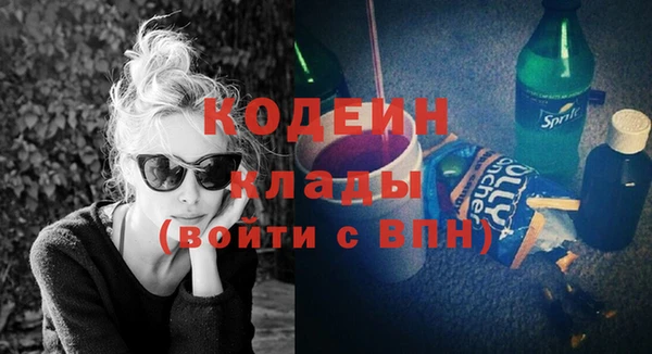 шишки Белоозёрский