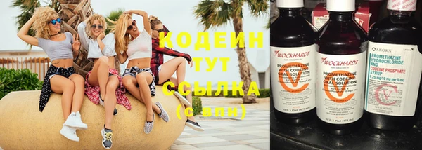 амфетамин Белокуриха